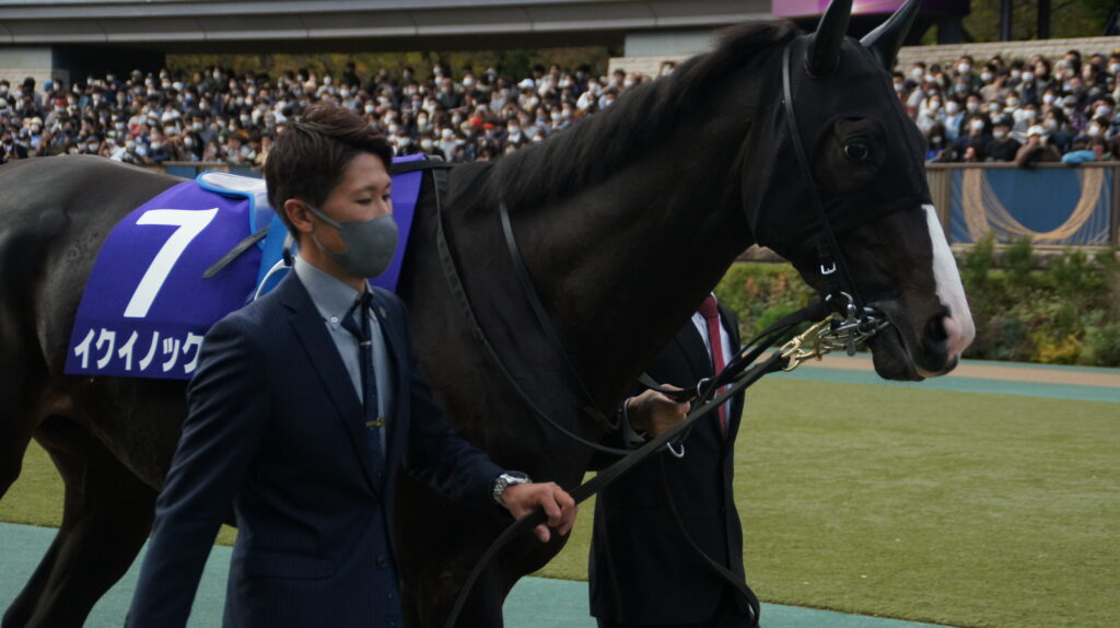 競馬場ごとの入場者数 2023年 | 競馬のトリビア